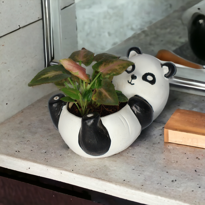 Sleeping Panda Resin Succulent Pot