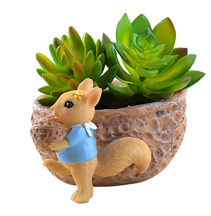 Cute Squirrel Pot Succulent Pot