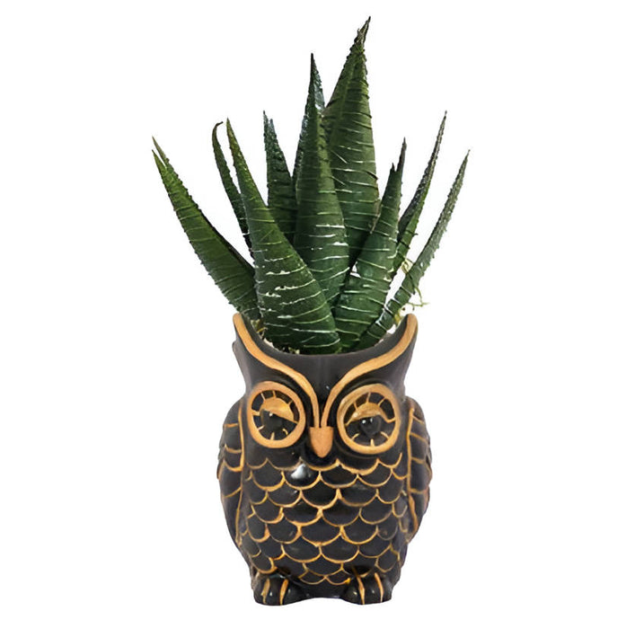Black Money Luck Charm Owl Resin Succulent Pot