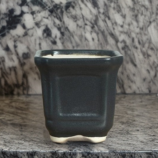 Black Square matt Ceramic Pot