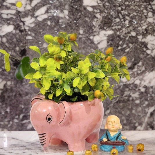 Elephant Table Top Ceramic Pot Pink With Ring