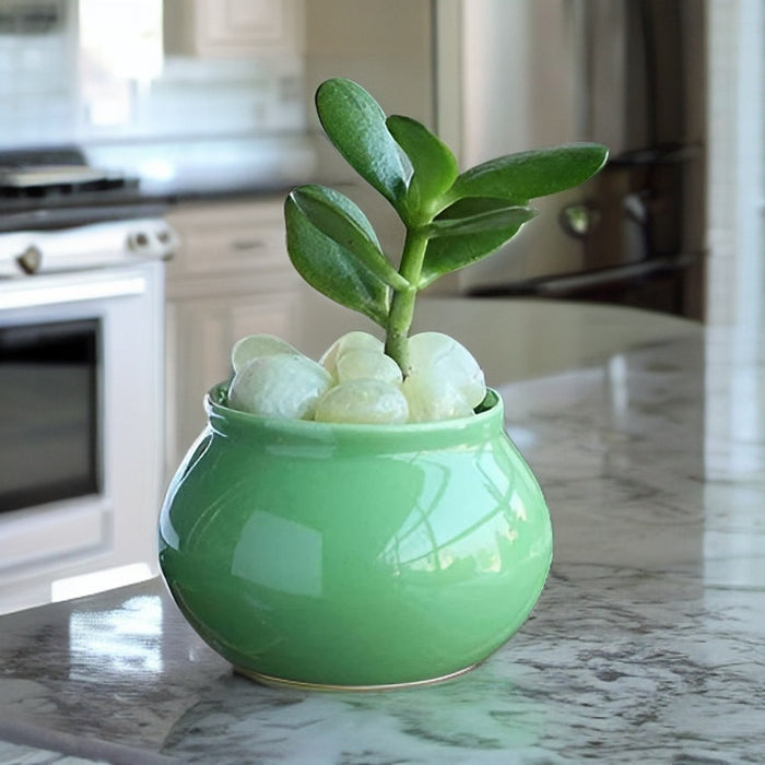 Green Handi Shape Ceramic Pot