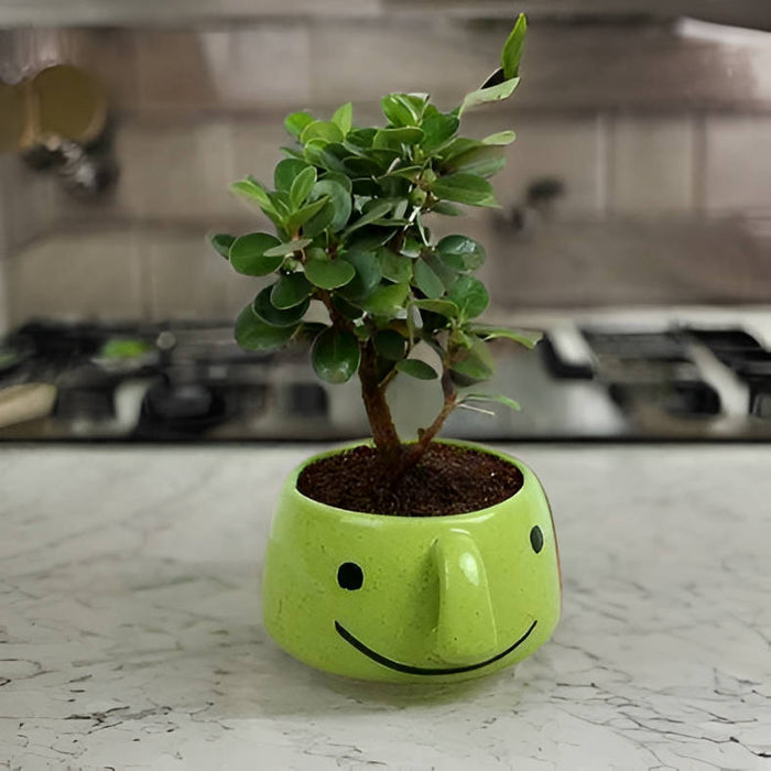 Green Smiley Ceramic Pot