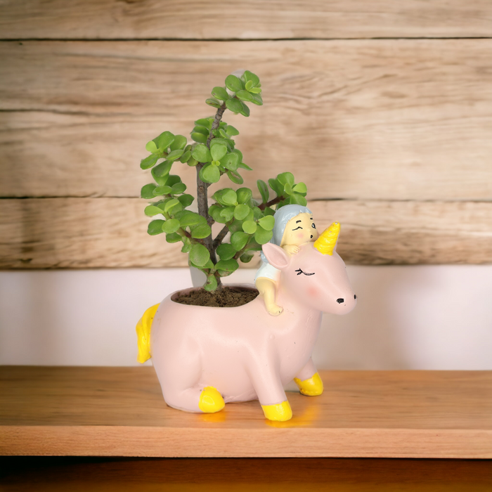 Unicorn Planter with real Jade Plant