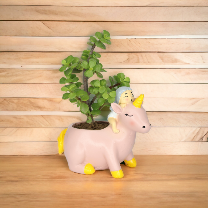 Unicorn Planter with real Jade Plant