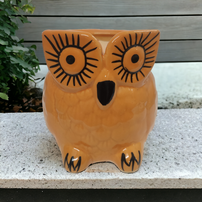 Mustard owl Ceramic Pot