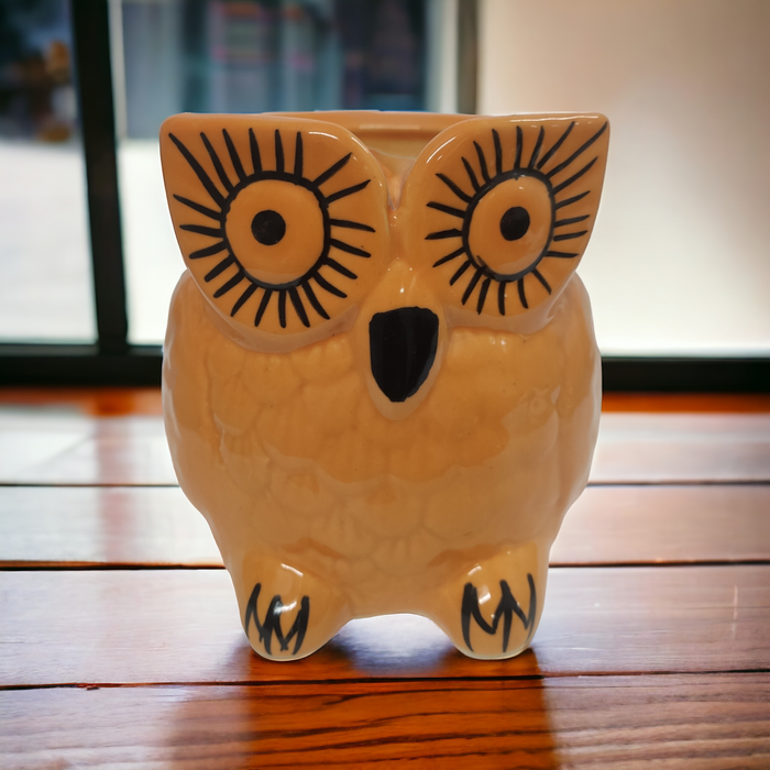 Mustard owl Ceramic Pot