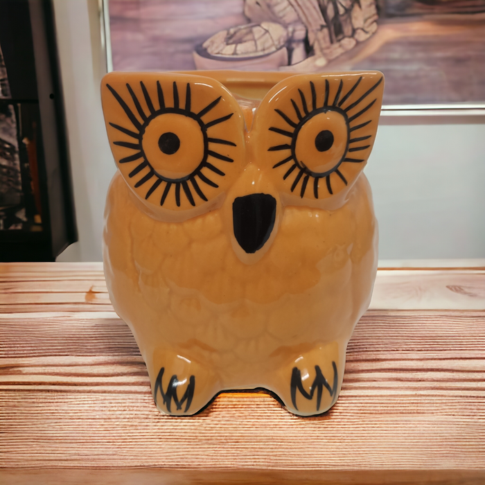 Mustard owl Ceramic Pot