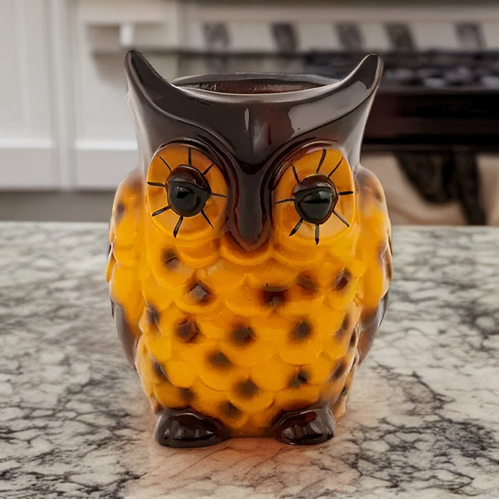Orange Money Luck Charm Owl Resin Succulent Pot
