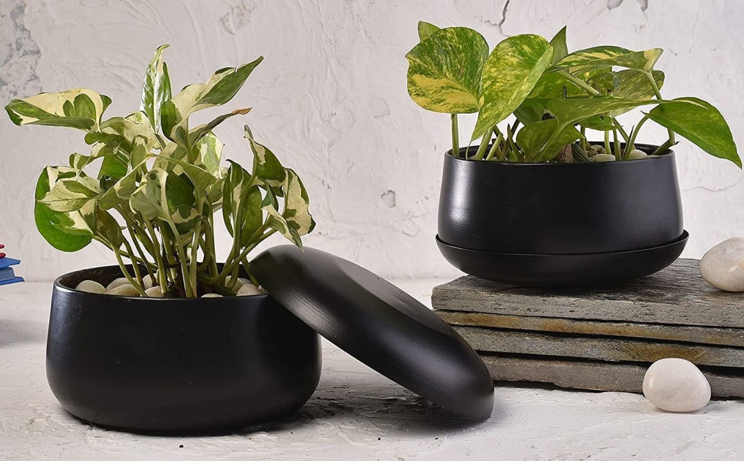 Black Metal Dish Planter With plate