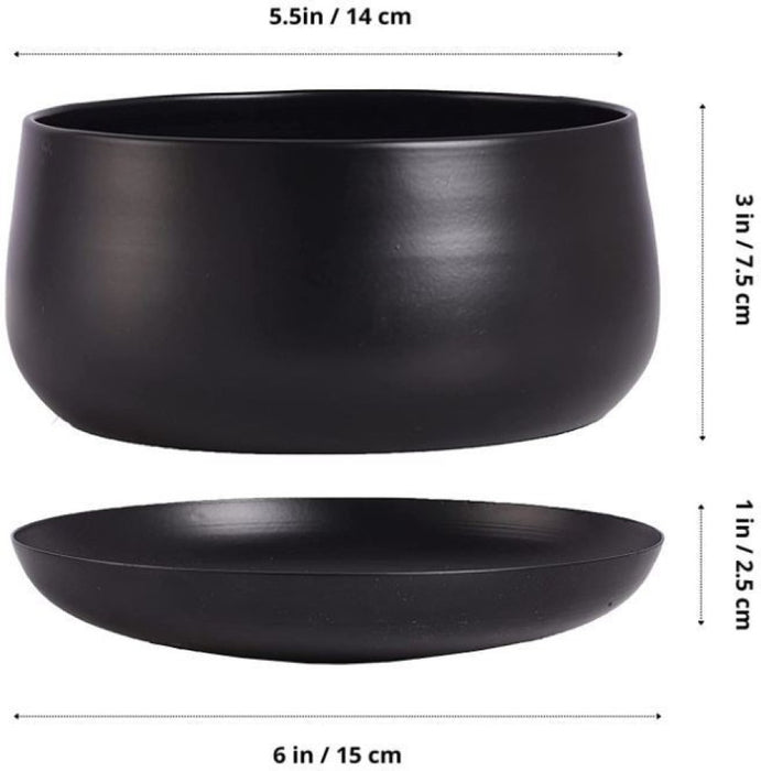 Black Metal Dish Planter With plate