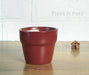 Maroon Brown Cone Ceramic Pot 3 inch - Plant N Pots