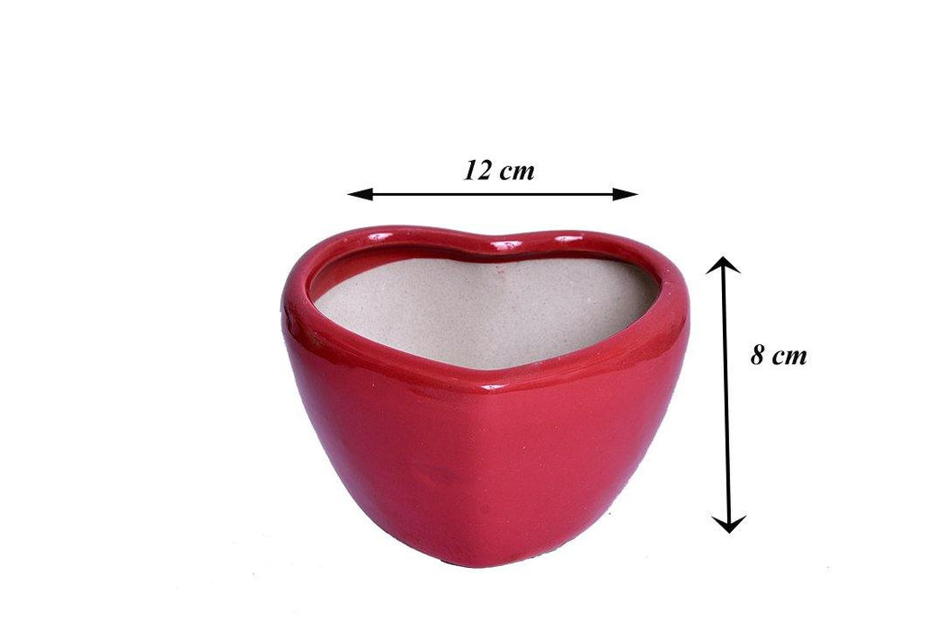 Heart Shaped Ceramic Pot ( 4 inch) - Plant N Pots