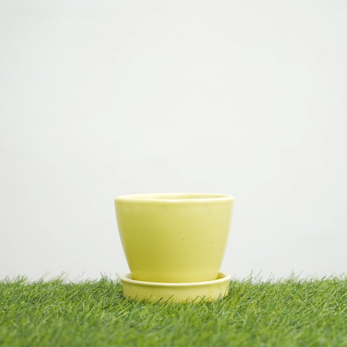Yellow Round Egg Shape Ceramic Succulent Pot with Tray