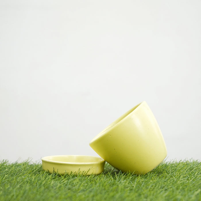 Yellow Round Egg Shape Ceramic Succulent Pot with Tray