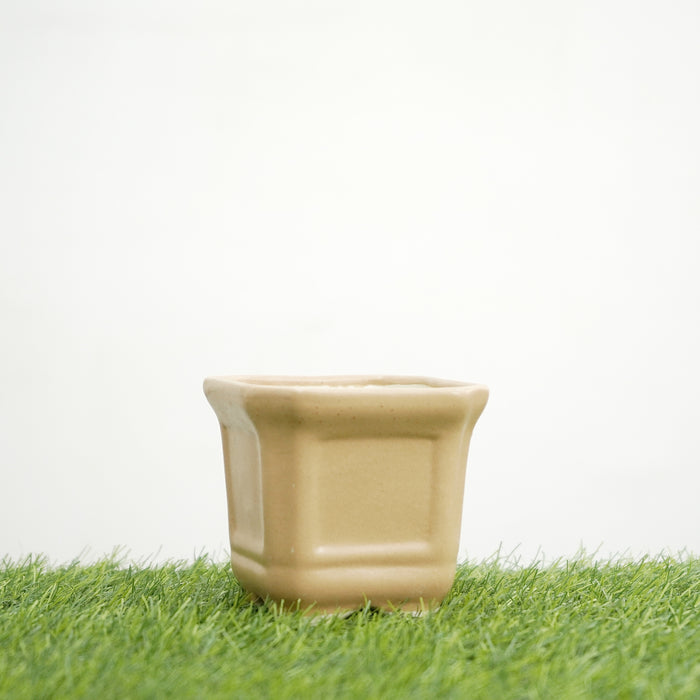 Beige Ceramic square Pot matt