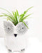 Dotted White Owl Ceramic Planter Pot( 4 inch ) - Plant N Pots
