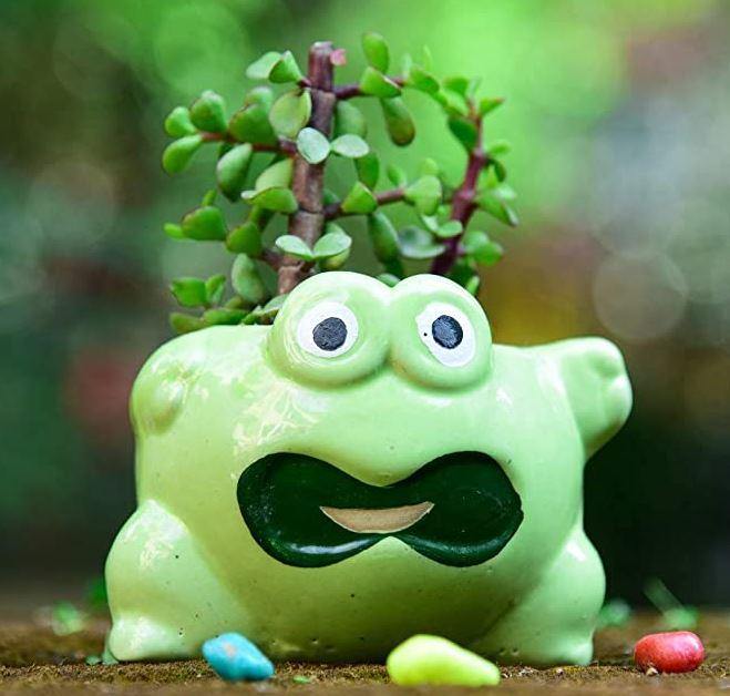 Frog Shaped Green Ceramic Pot - Plant N Pots
