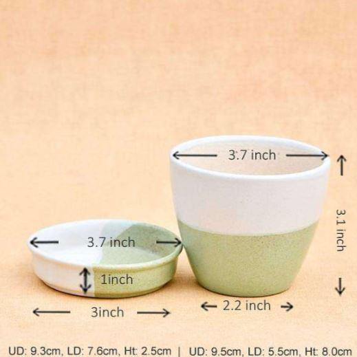Green Round Egg Shape Ceramic Pot with Tray - Plant N Pots