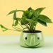 Green Smiley Ceramic Pot - Plant N Pots