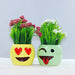 Tongue Out Smiley Succulent Pot - Plant N Pots