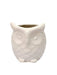 Owl Ceramic Pot White - Plant N Pots