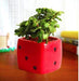 Red Dice Ceramic Pot - Plant N Pots