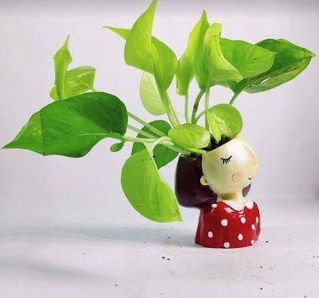 Red Polka Dot Girl Resin Succulent Pot - Plant N Pots