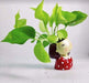 Red Polka Dot Girl Resin Succulent Pot - Plant N Pots