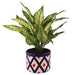 Rhombus Design Ceramic Pot (5.5 inch) - Plant N Pots