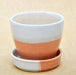 Round Egg Shape Ceramic Succulent Pot with Tray - Plant N Pots