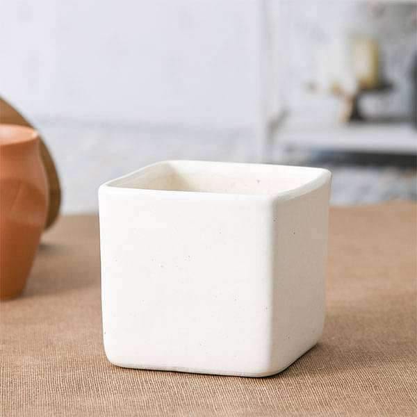Square Table Top Ceramic Pot White (4 inch) - Plant N Pots