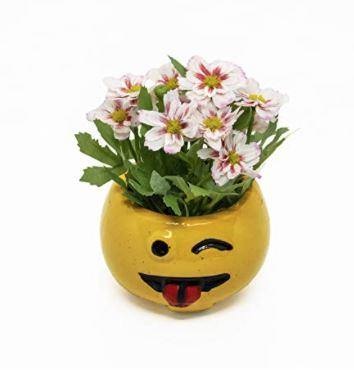 Tongue Out Smiley Succulent Pot - Plant N Pots