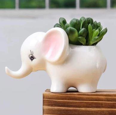 White Baby Elephant Ceramic Pot - Plant N Pots