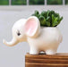 White Baby Elephant Ceramic Pot - Plant N Pots