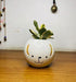 White Dog Smiley Ceramic Pot - Plant N Pots