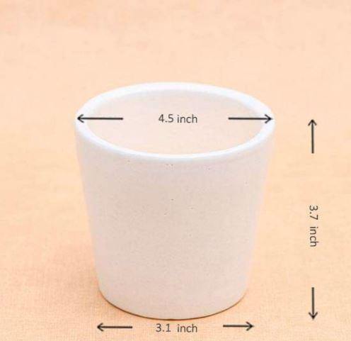 White Round 4" Ceramic Pot - Plant N Pots