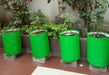 Plant N Pots Grow Bag (12x18) - Plant N Pots